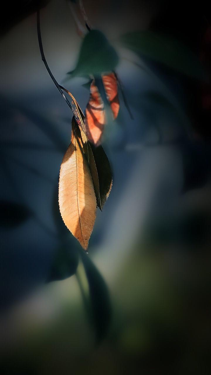 人往往在经历重大变故或深刻痛苦时，如直面生死、遭遇背叛、失去珍视之物，或是在长期