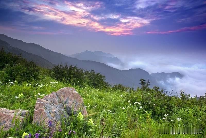 物业有没有权利规定不让外卖进小区，这事儿得分情况看。
正常情况下，物业没权这么干