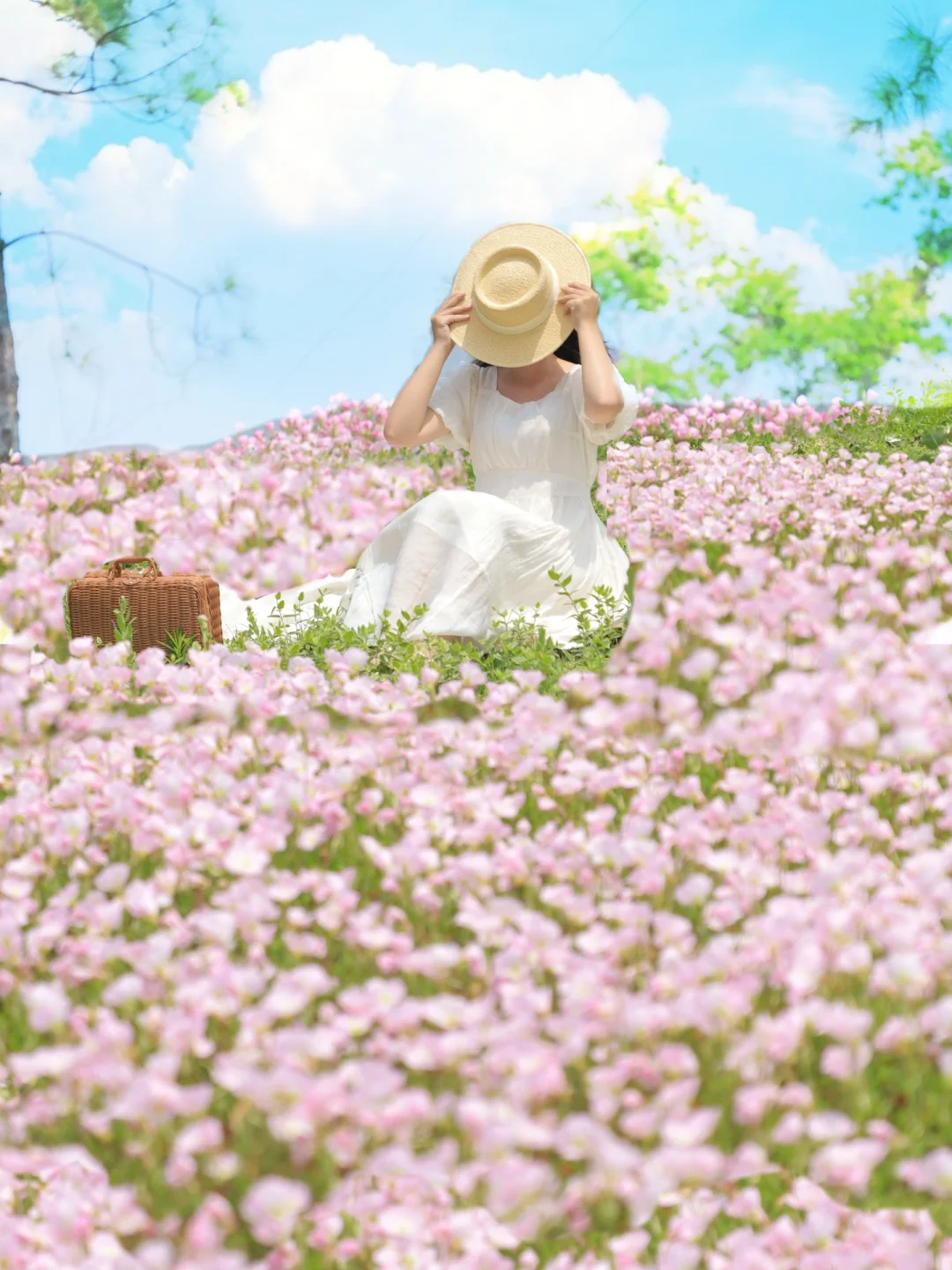 武汉宝藏赏花路线！空轨月见草浪漫哭了