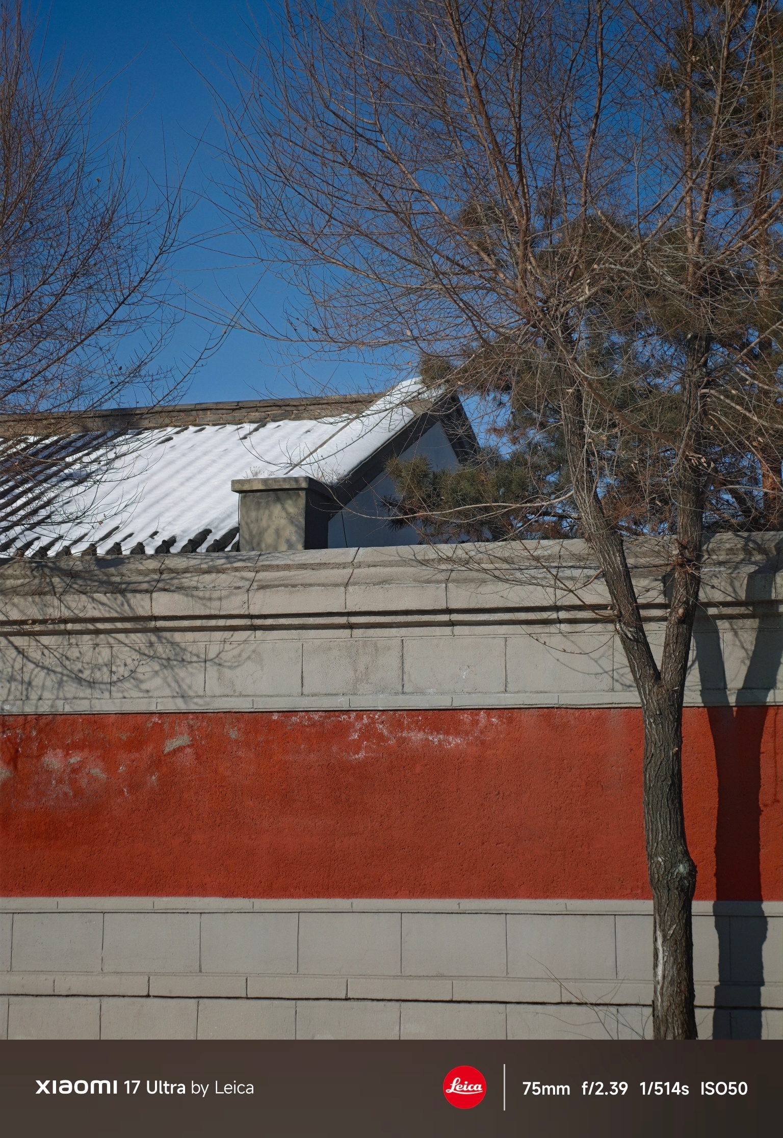 我还挺喜欢徕卡一瞬这样不用思考，不用纠结，直接按快门的模式，徕卡M9是彩色，徕卡