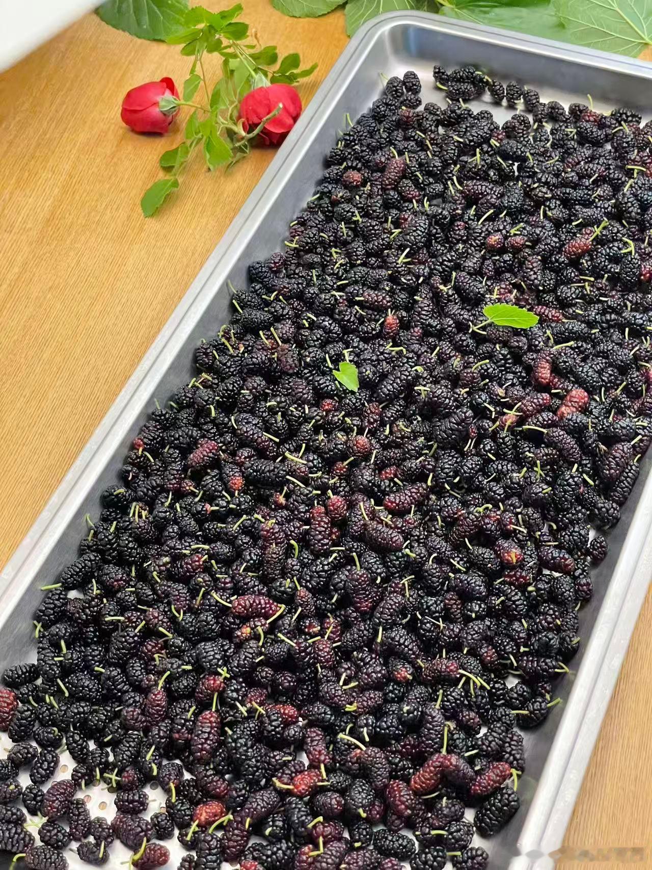 没想到 长大了还能吃到小时候记忆中的桑葚谁懂这种快乐 