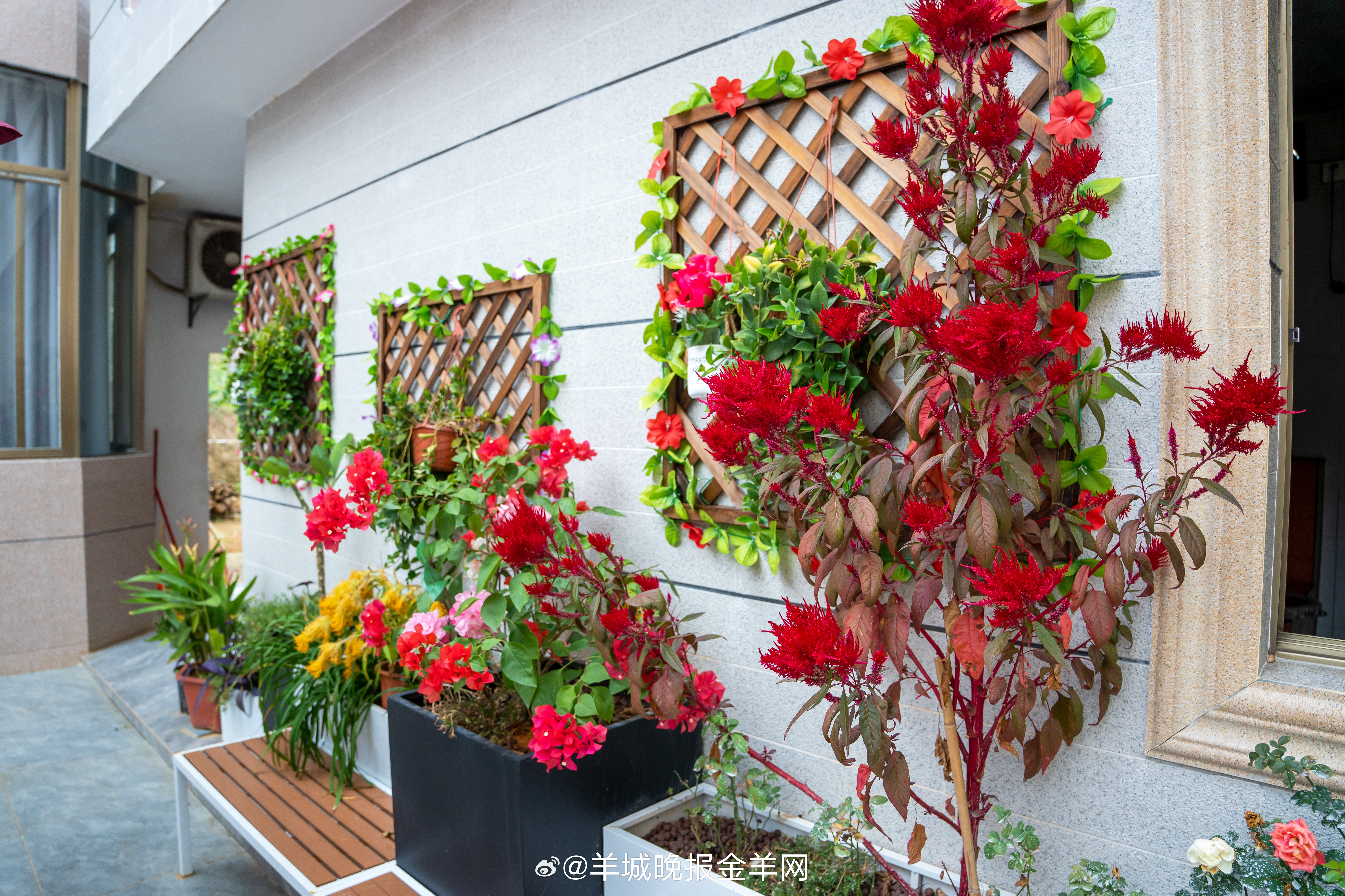 #晚安#请你相信，时光终会回馈你所有坚持，一路繁花相伴。 ​​​