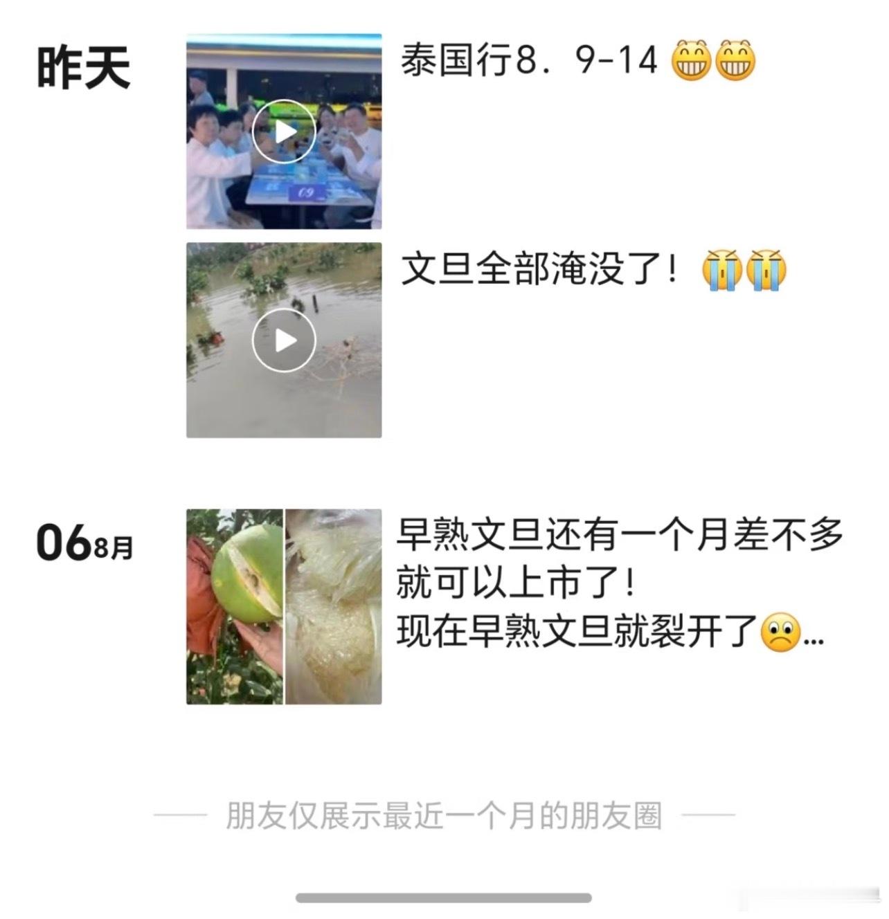 同事的外地朋友有一位浙江卖文旦老板的VX。看到老板发朋友圈“白海豚”来了文旦树全