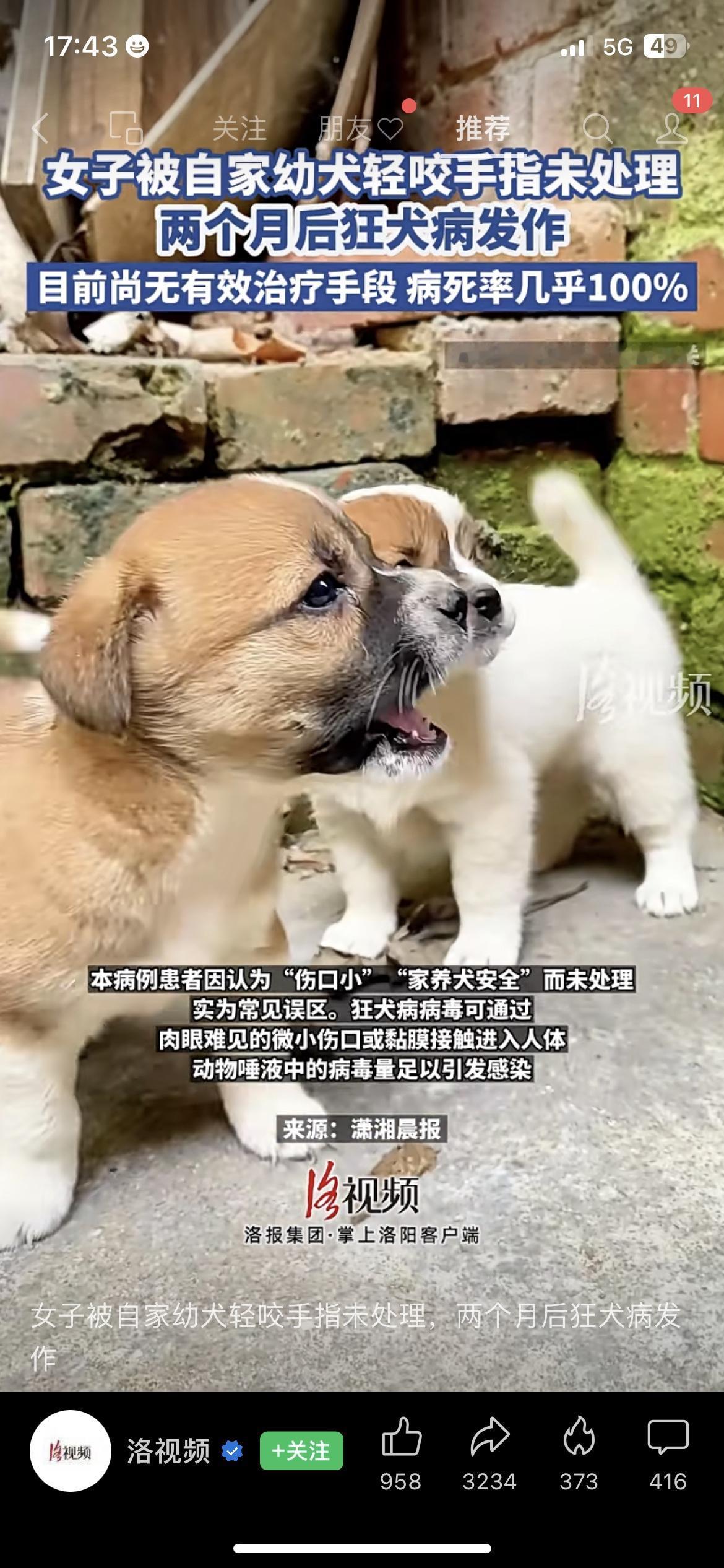 😱太吓人！被自家小狗咬了没处理，2个月后发病！
湖南一女子被自家幼犬轻咬手指，