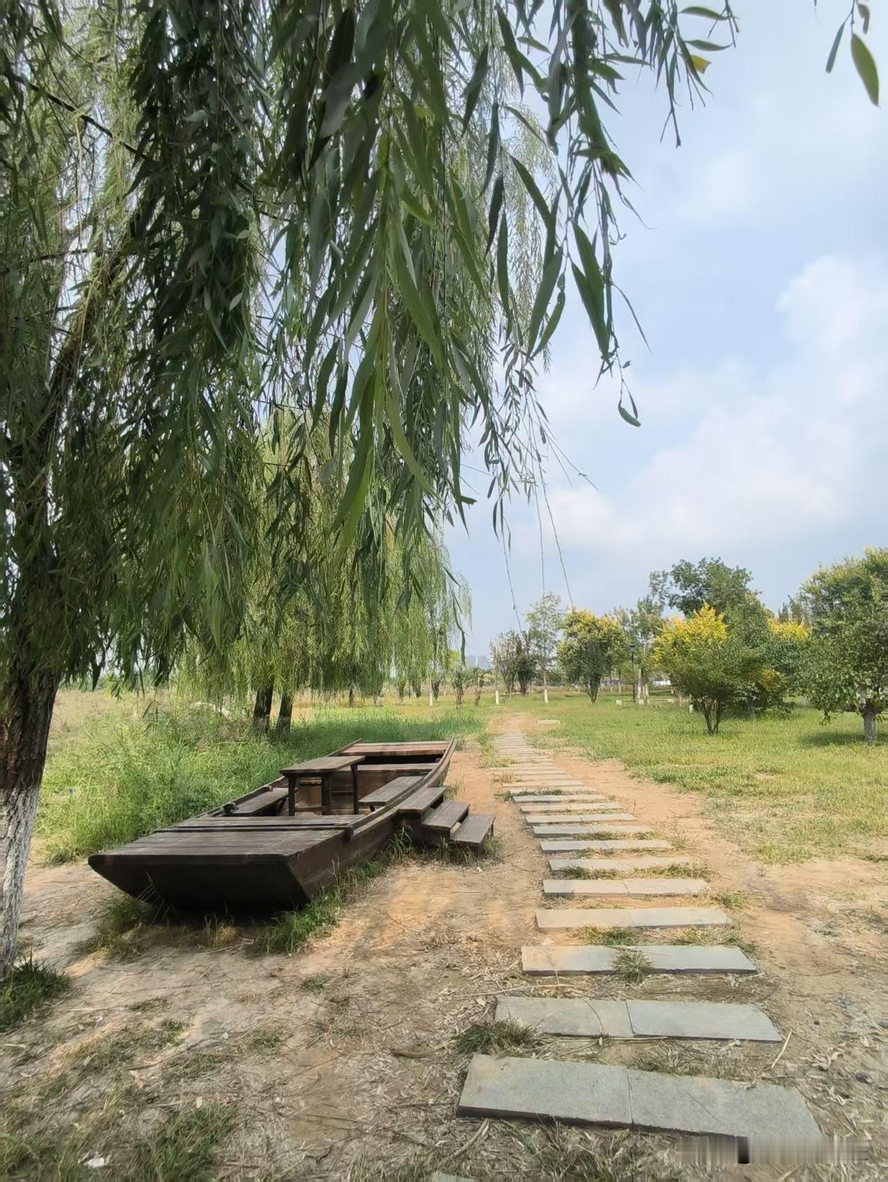 秋日的水西公园，风景秀丽，自然清新。湖中的荷花开始凋谢，高高的芦苇随风摆动。一只