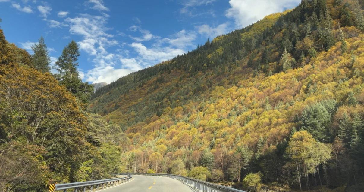 10.24的理小路。
理小路yyds！一开始想这么短的路为什么能变成网红？一探究