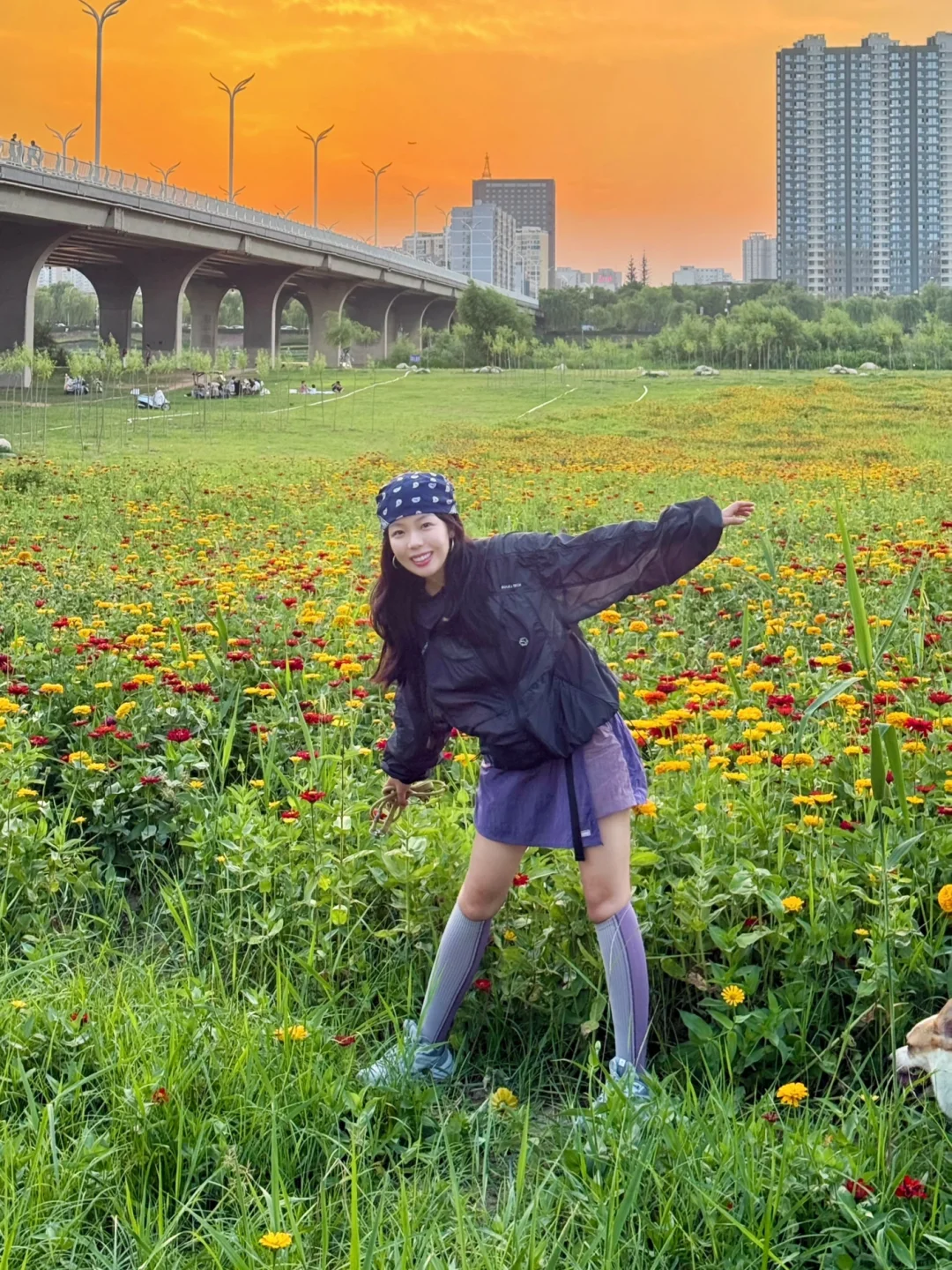 6.26实拍！西安20min直达大草坪莫奈花园🌼