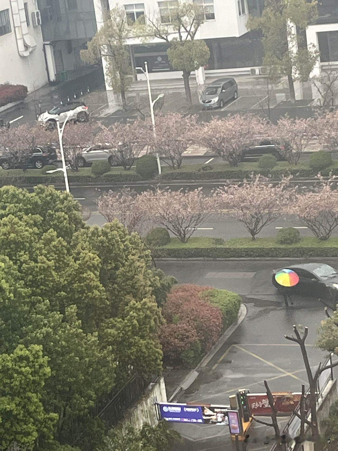 路上安全谈。

上班的地方离家约3公里，一路上要经过5个红绿灯，十分钟也不用，但