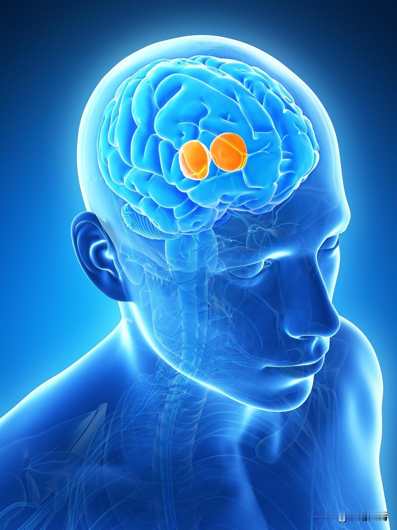 发现没有？
精神病大多是女性，
她们发病有一个共同点就是：害怕。不管是怕什么，反