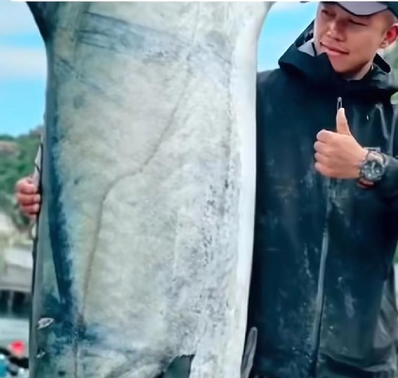 本年度鱼王竟然出现在了广东
广东珠海万山区庙湾海域，一位男子竟然钓上了一条重达2