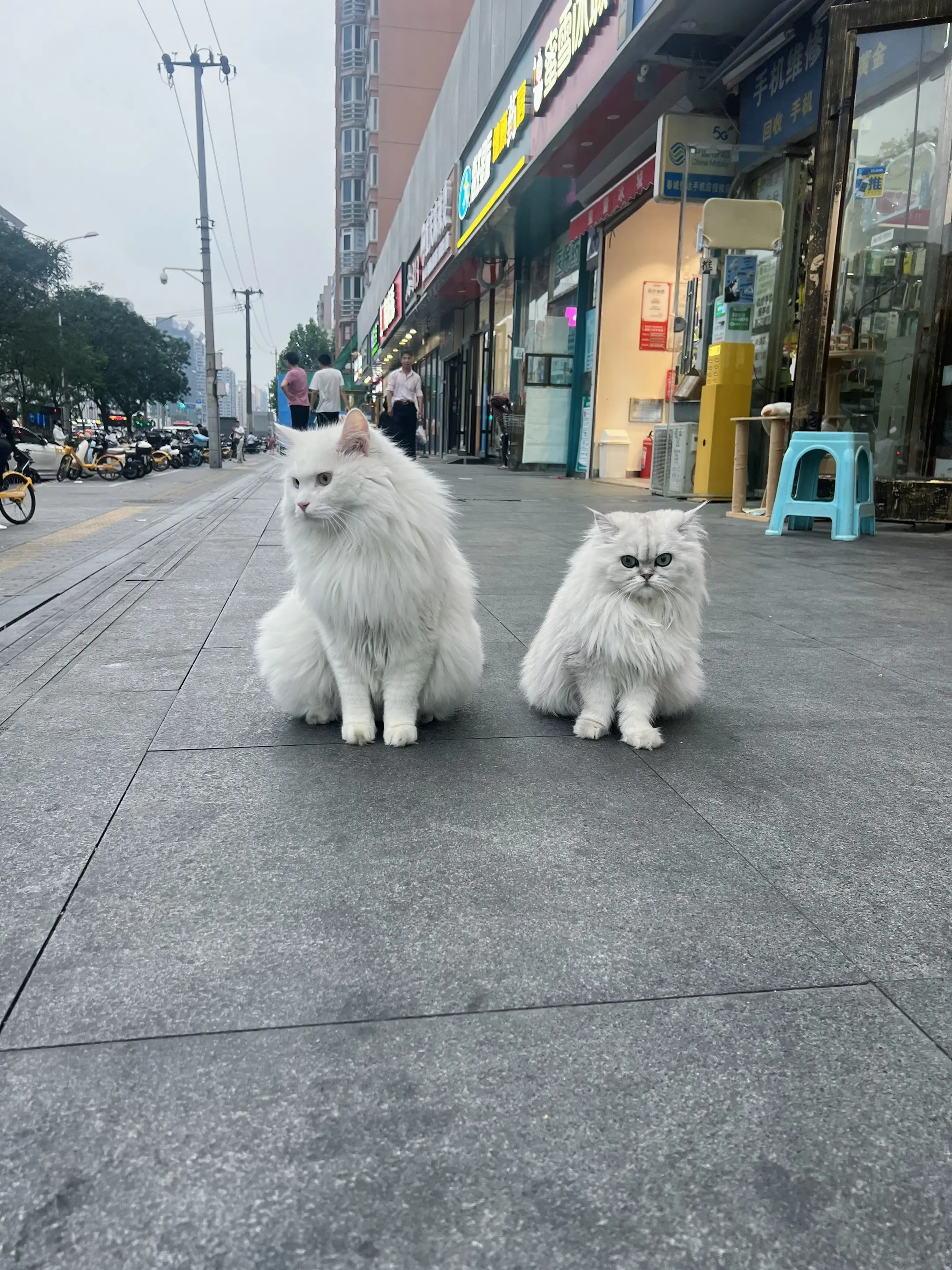 我就往这一站，ee们就得哐哐给我点赞👍。