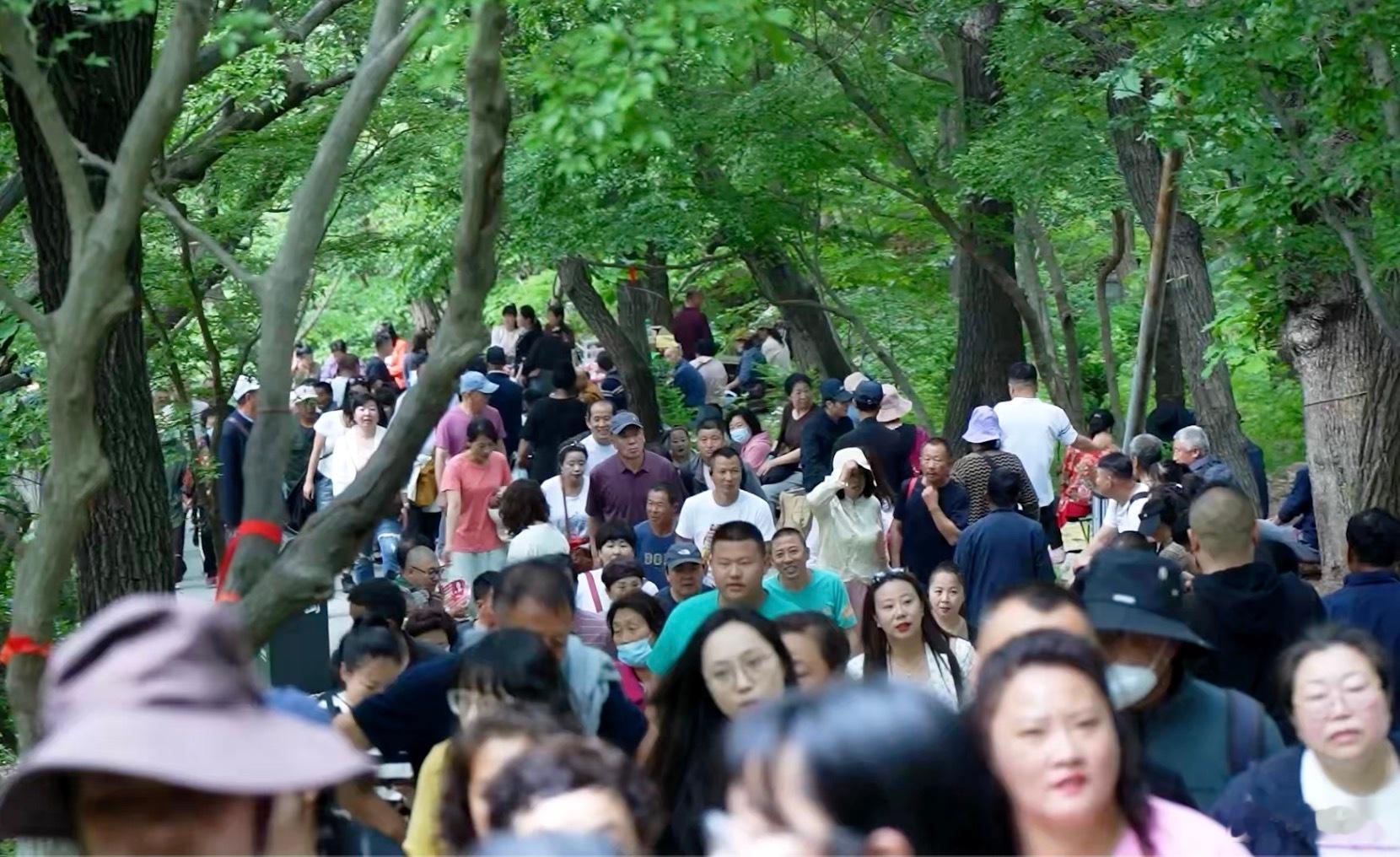 去大孤山前：我不信这些。去大孤山后：银杏树我绕了，五福我摸了，玄都宫我问了，连朋