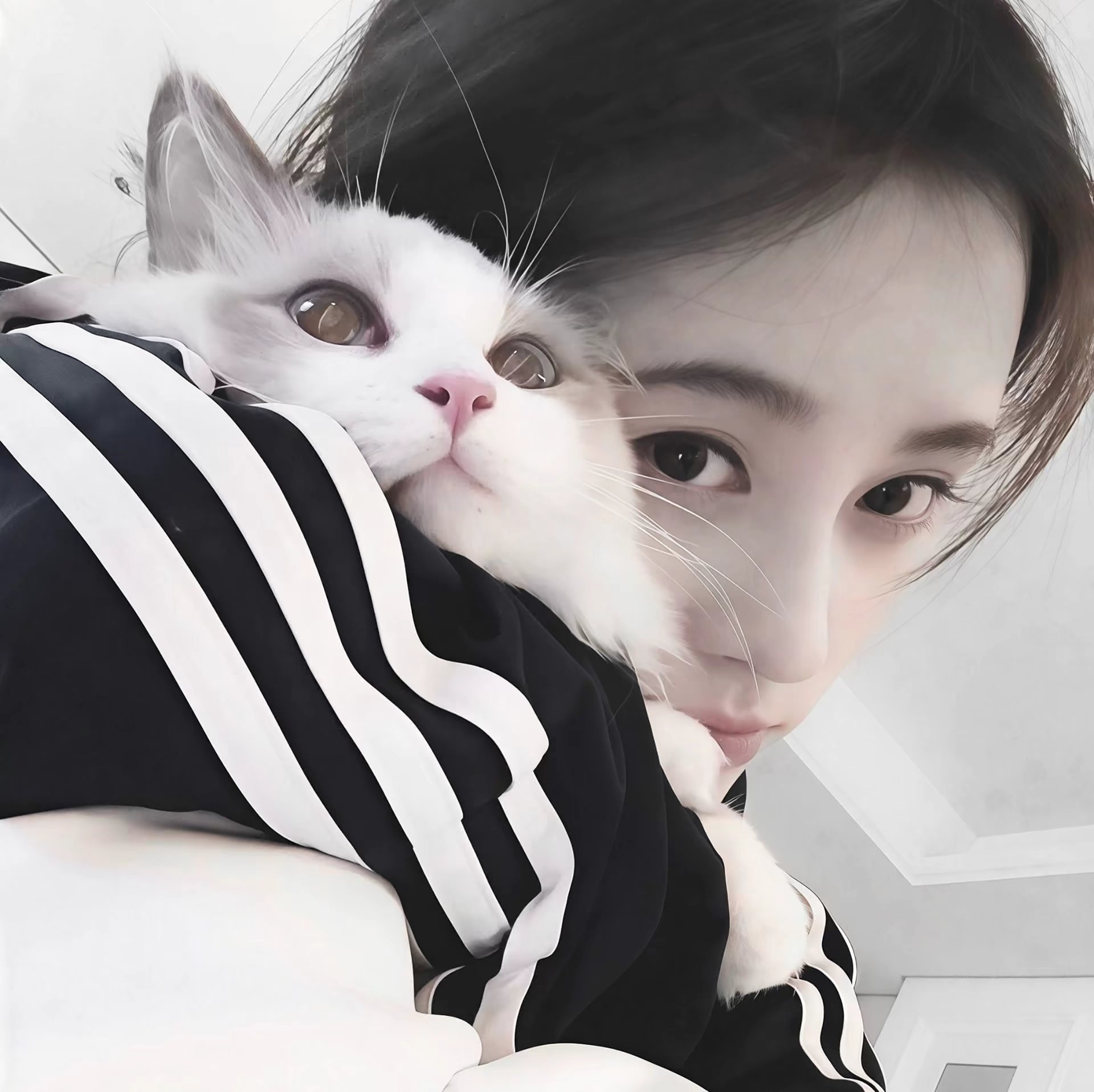 jjy 鞠婧祎来战  jjy鞠婧祎阿黛 𐙚˙⋆.˚ 我们一定是一起并肩作战的﹢