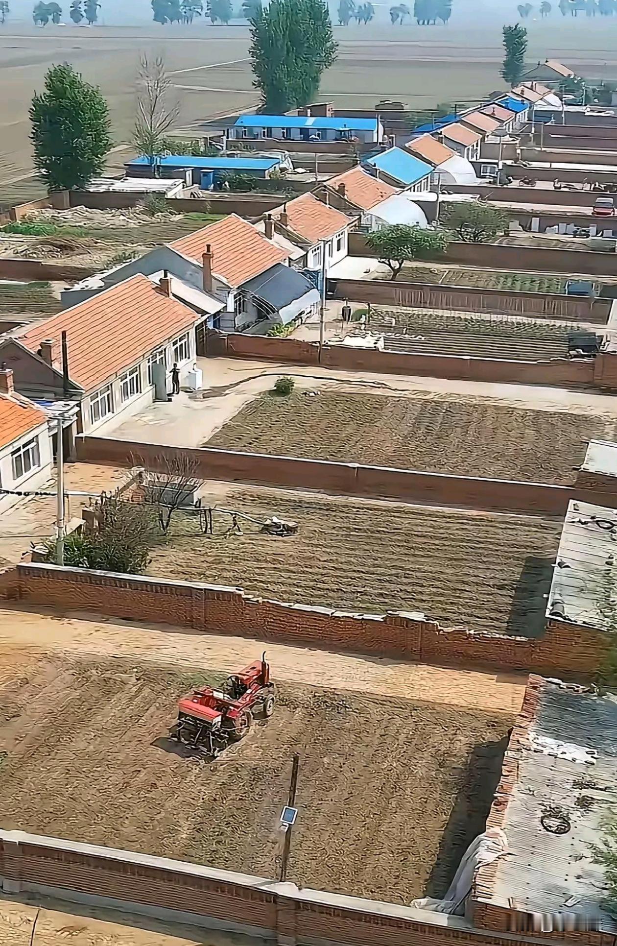 这是哪里的农村东北吗，这地可真平啊！