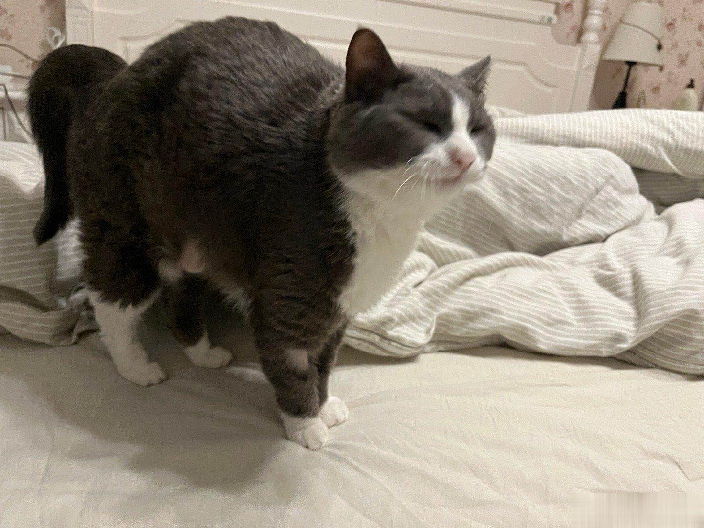 醒了哇？ ​​​