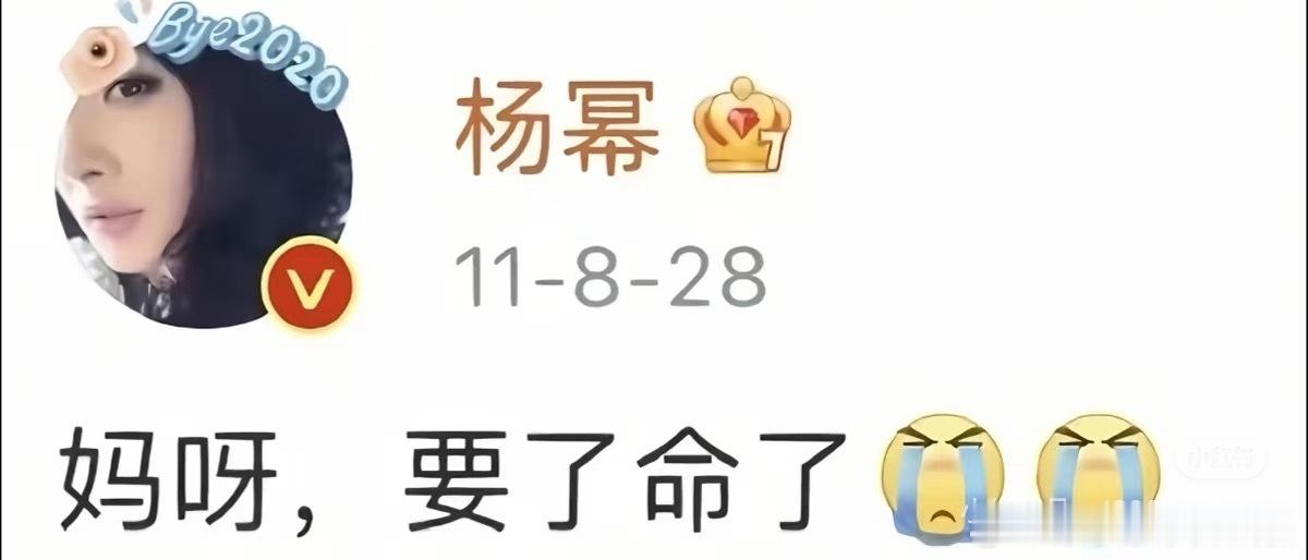 （乐子人：雷佳音、张云龙、赵丽颖、那英、薛凯琪、林更新、邓超、杨幂、李荣浩、李佳