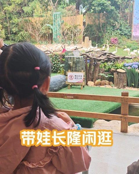 带娃解锁长隆野生动物园🐒｜非洲发现表演太赞
📍广州 广州长隆野生动物世界
周
