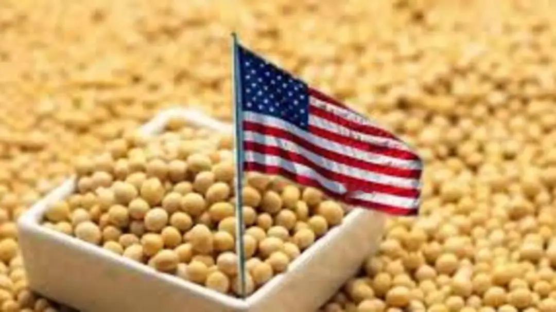 特朗普下月访华的消息刚落地，美国那边的采购清单就先递到了北京。大豆、民航客机、半