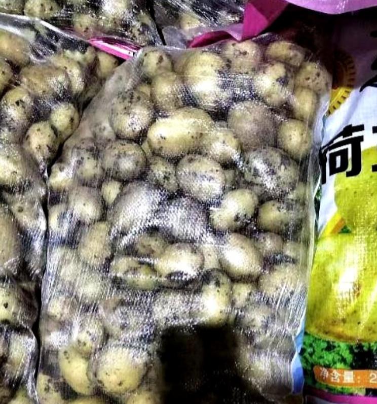 陕西商洛，一司机运输35吨土豆下高速走绿通，谁知收费员在检查完后，认定这些是土豆