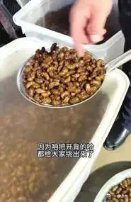 网红书记带货知了猴被指破坏生态山东临沂“半吨书记”刘磊直播带货知了猴，一夜把林子