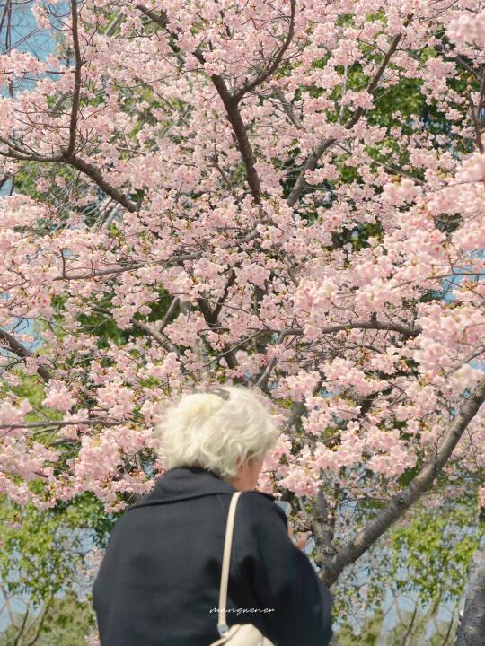 摄影｜眼前即是春天🌸🌸🍃🍃