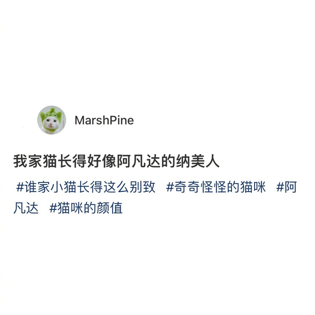 猫长得好像阿凡达里的纳美族人…… ​​​