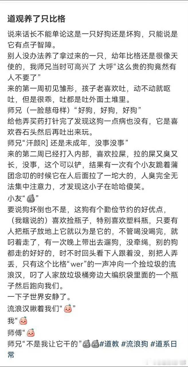 好狗好狗 ​​​