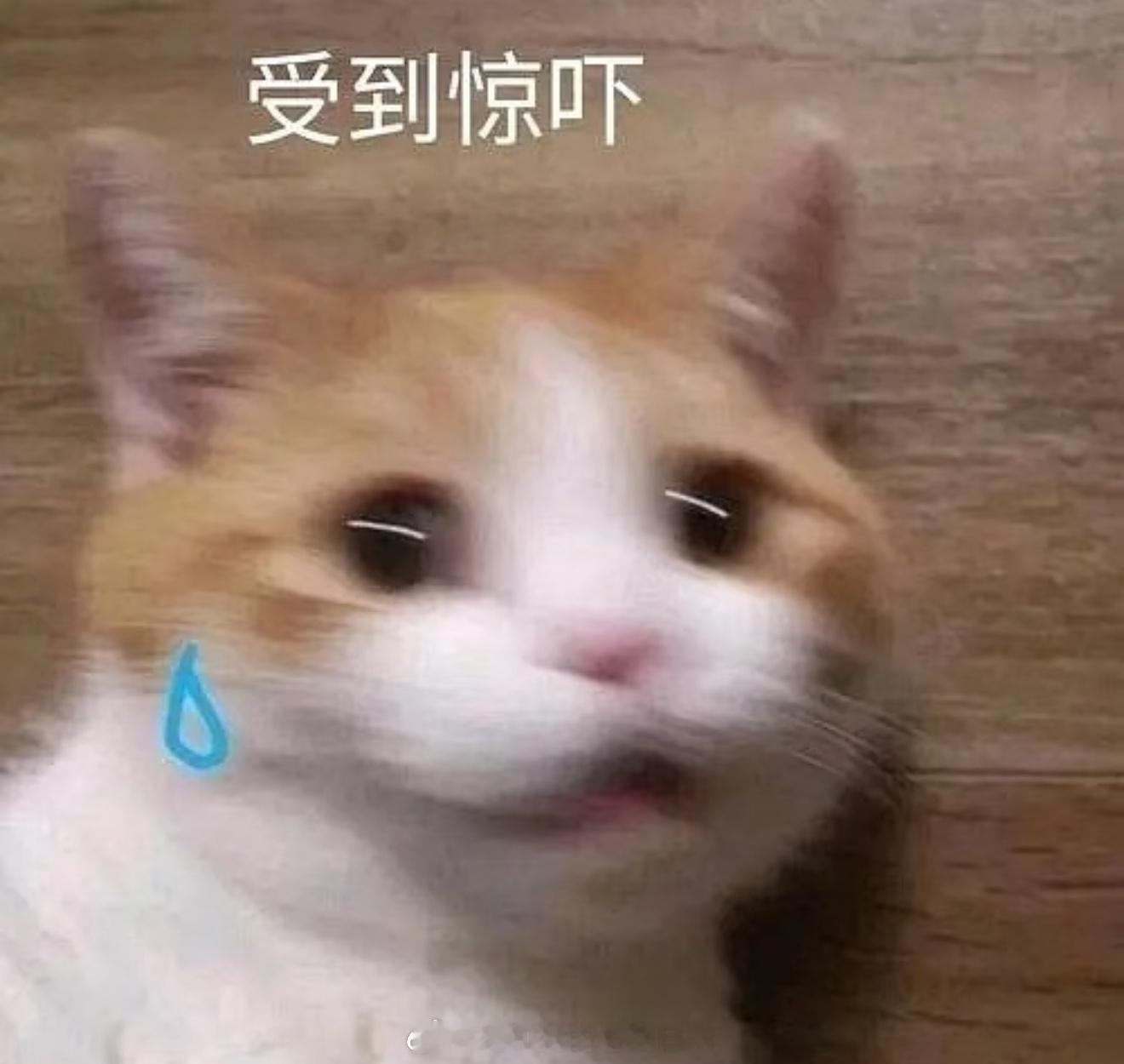 别让贫困生喝咖啡争议撕裂舆论我同学真正贫困的，家里几个姐姐一个弟弟，河南农村，回