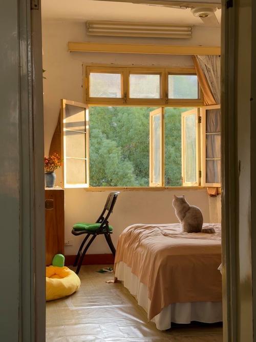 我外婆是烈属，因为我两个舅舅都在解放战争中牺牲了，外公也因病去世，为此外婆几乎哭