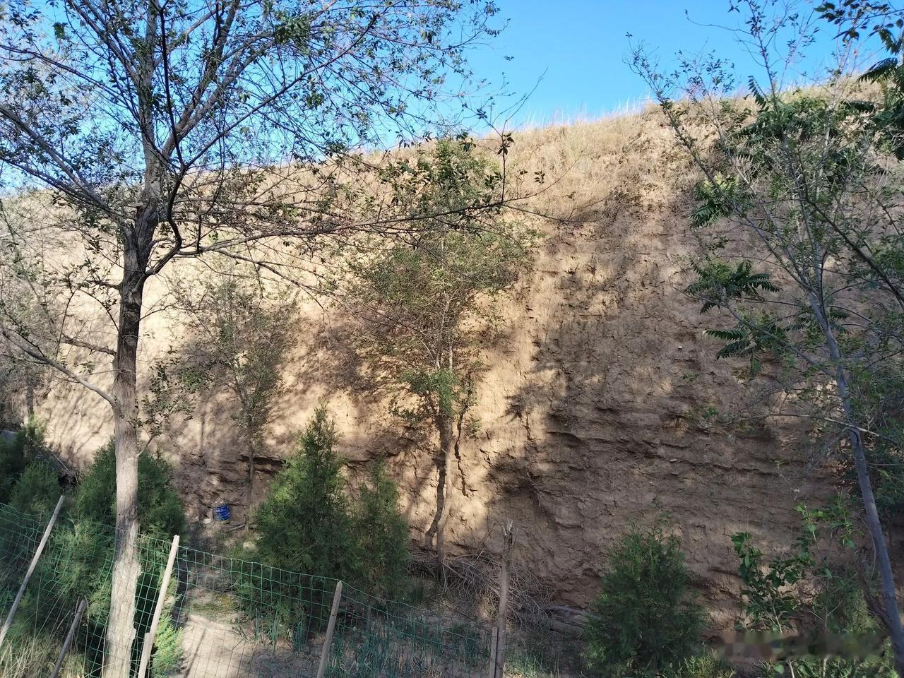 陇西明代巩昌府城墙遗迹

目前可辨识的残存墙体仅余七处，其中较成规模的有四段：