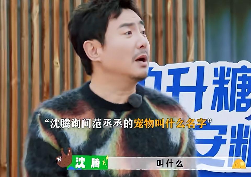 沈腾问范丞丞养的宠物叫什么，范丞丞一句话直接挨揍了！
沈腾:“叫什么”，范丞丞: