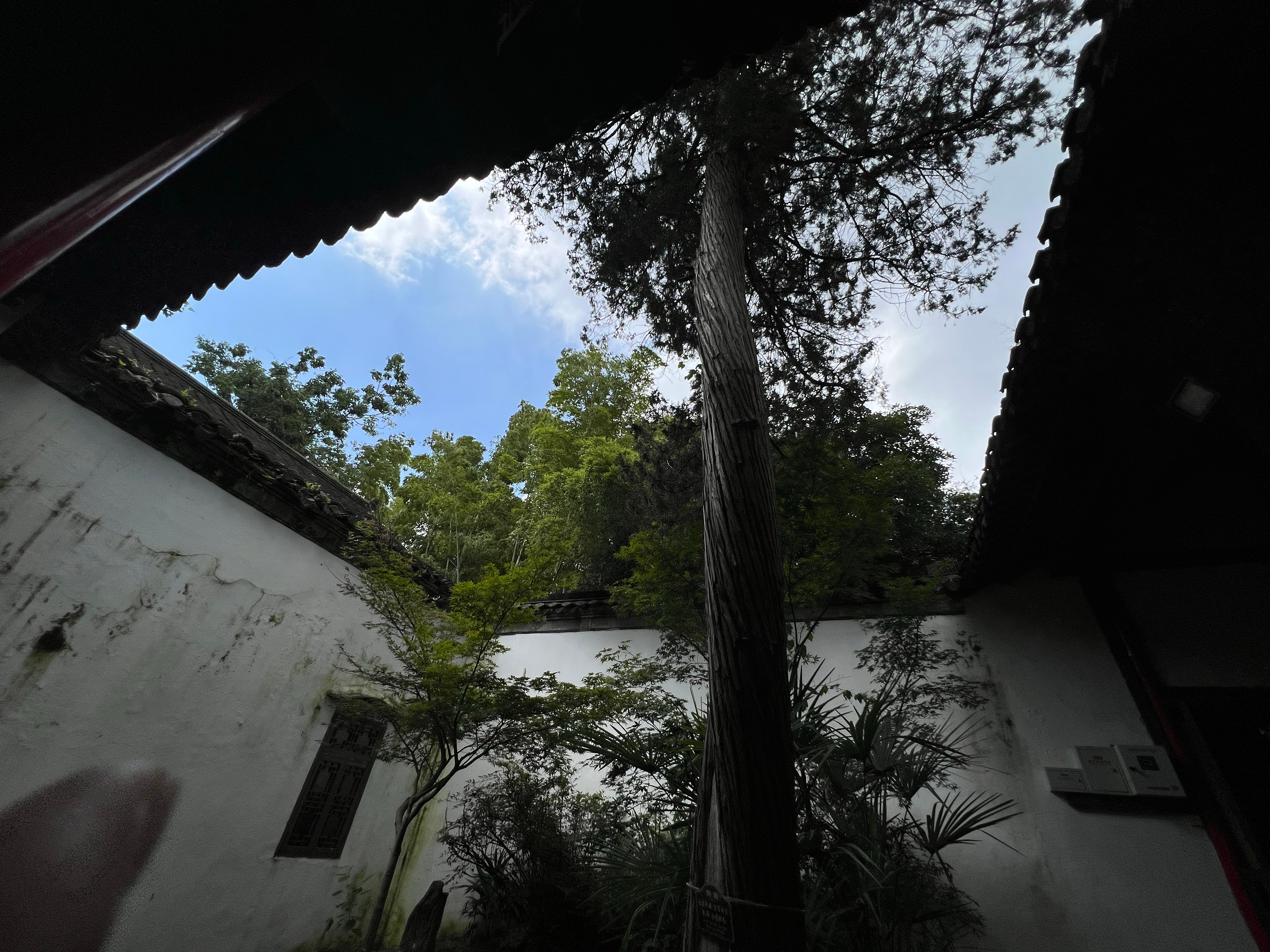 平山堂古木参天，浓荫蔽日，林间蝉声阵阵，反倒衬得周遭愈发清幽，恰是蝉鸣林愈静的意