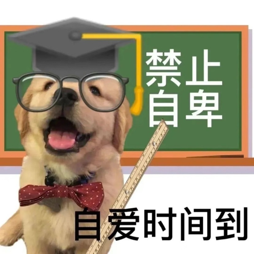 搞笑幽默抽象表情包丨祝你在没洗头时 