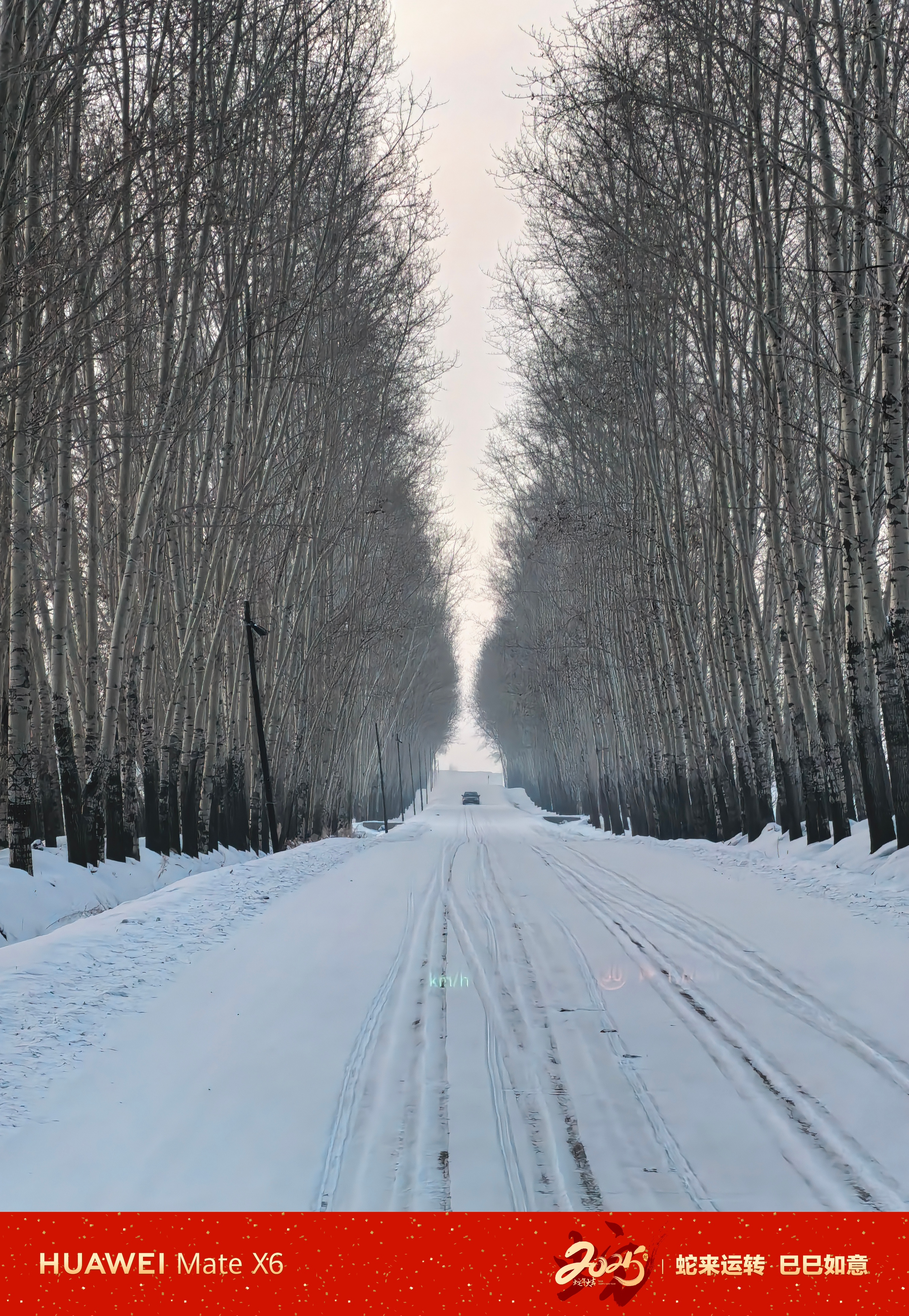 打开雪地模式，出发[挤眼] 