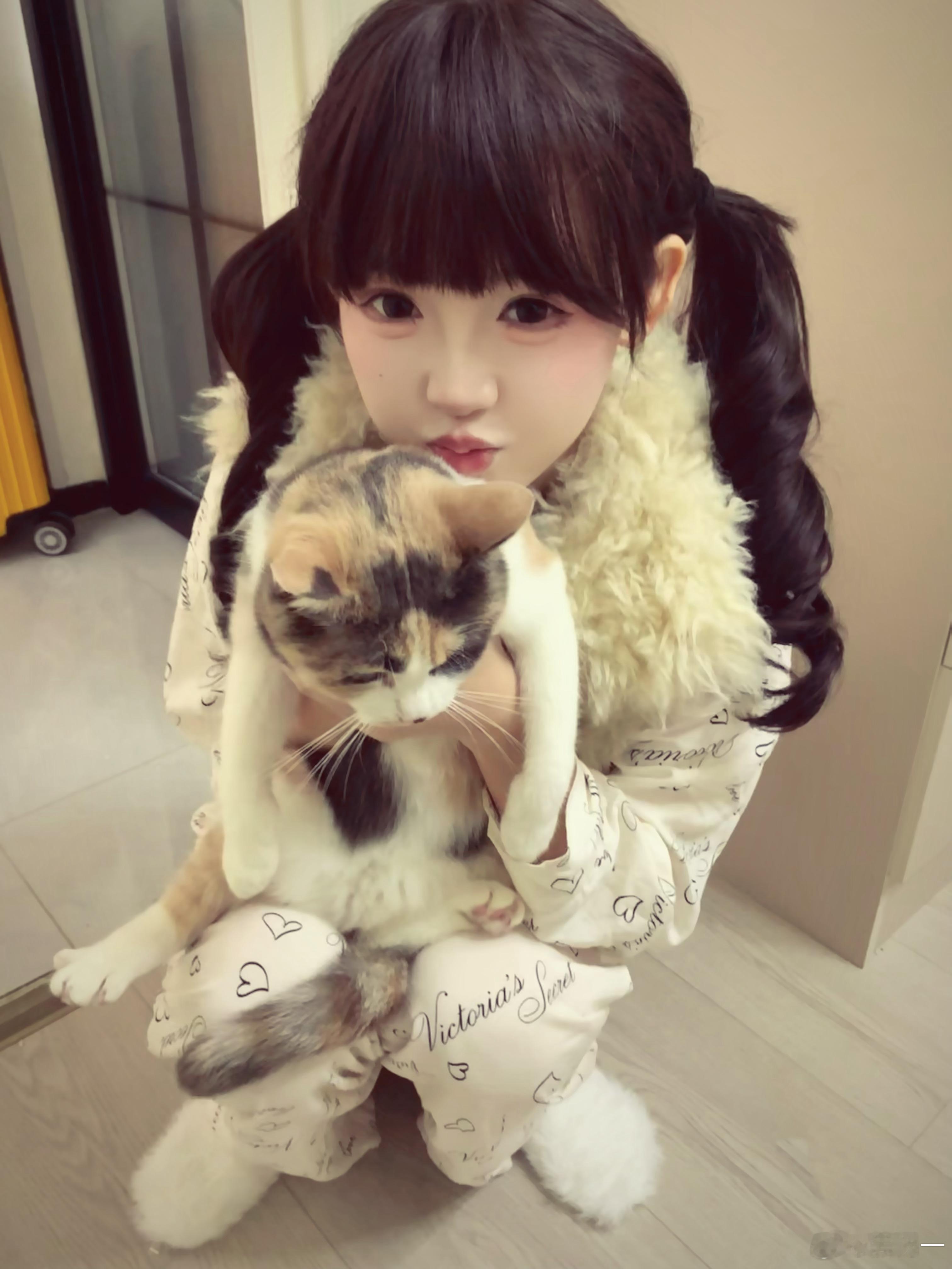 爱一只猪 就应该只爱一只猪 