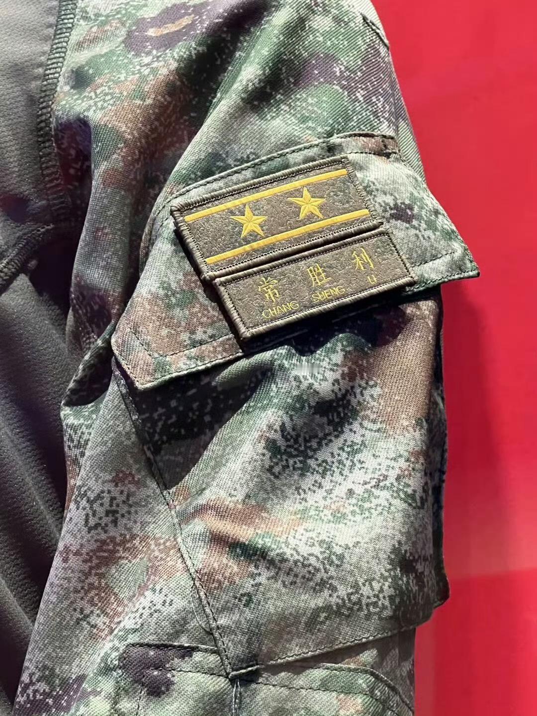 2016年2月1日，中国人民解放军战区成立，“军委管总、战区主战、军种主建”的全