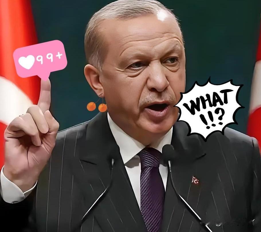 快讯，快讯！
土耳其正式发布公告！

2025年11月2日，土耳其外交部正式公告