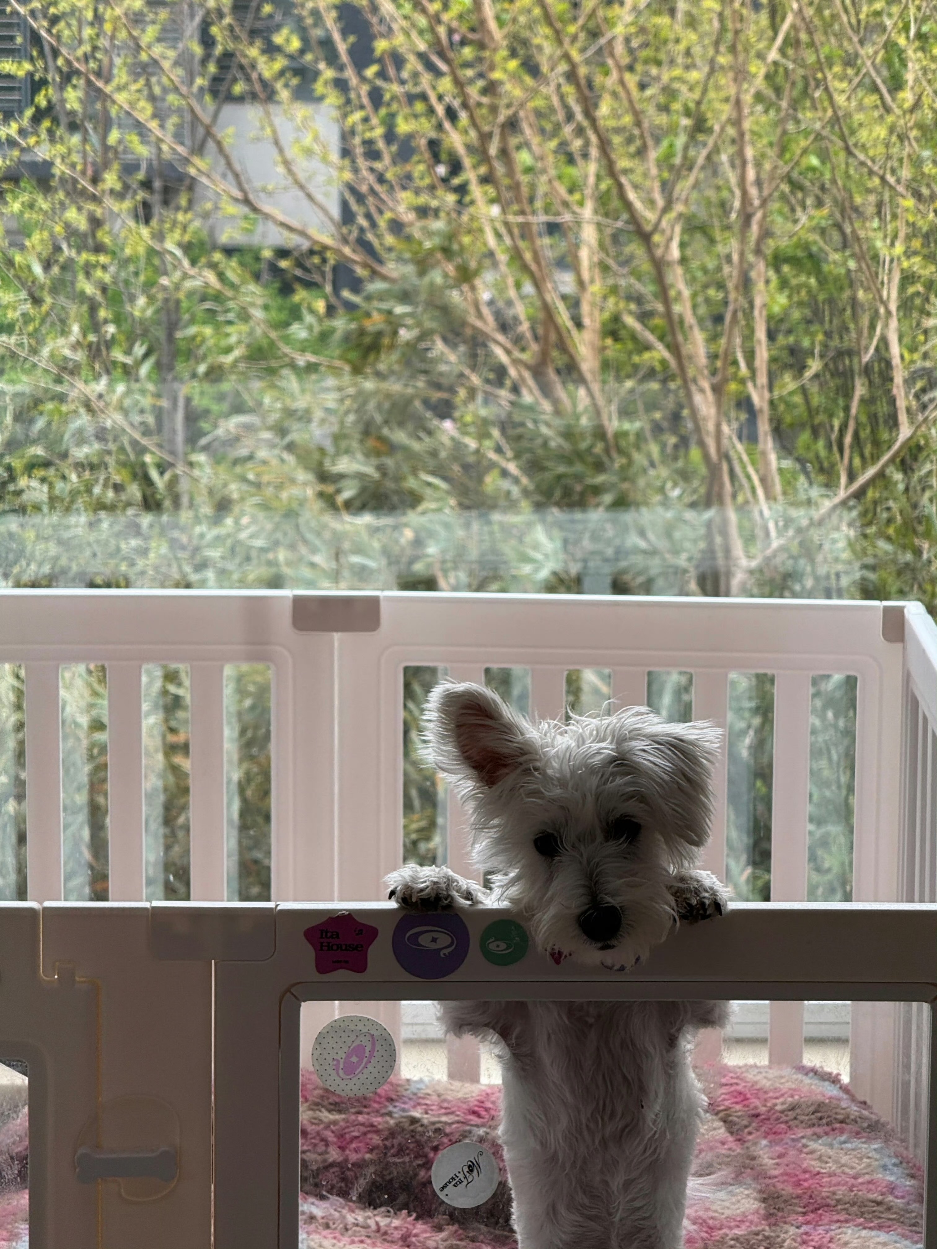 陆柯燃日常随拍 分享日常碎片，all black好酷好飒！姐姐多记录多分享春天呀