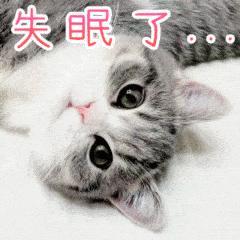 七夕节有没有男友、对象，这个点没睡觉不就一目了然，还在失眠、熬夜中… 