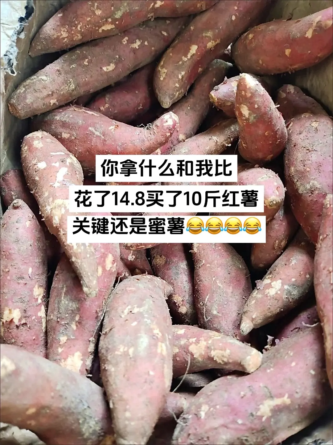 这个价格真的太划算啦，十多块钱一大箱蜜薯，趁这波羊毛赶紧薅