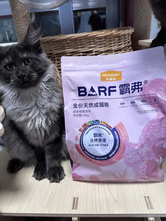 9只猫一致认可：以后就买霸弗！