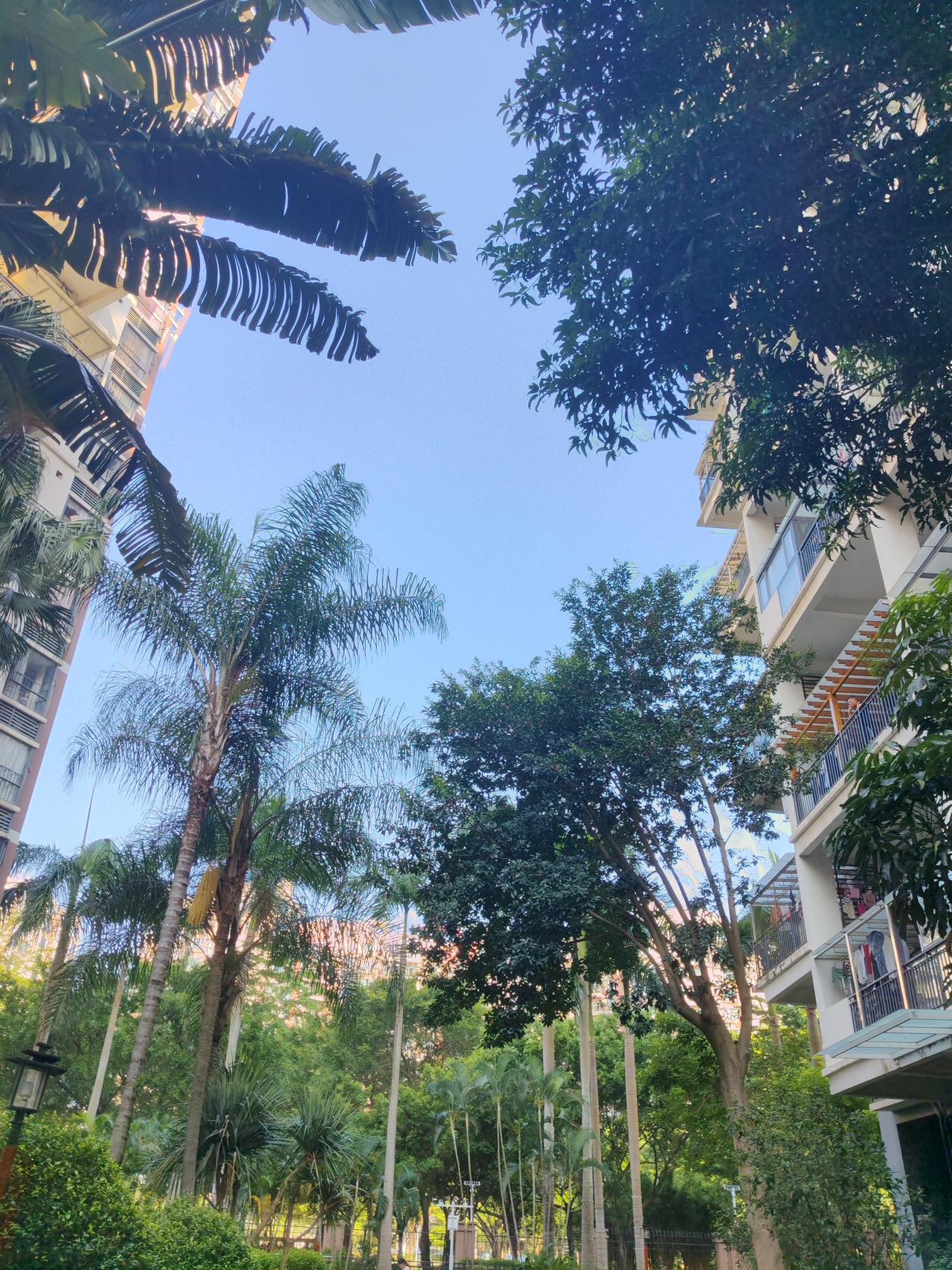 主力资金尾盘流入，原因还挺多。8月是中报披露期，机构得用最低成本调仓，月初资金从
