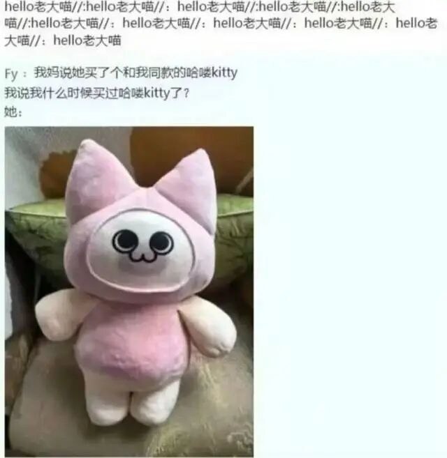hello 老大喵 