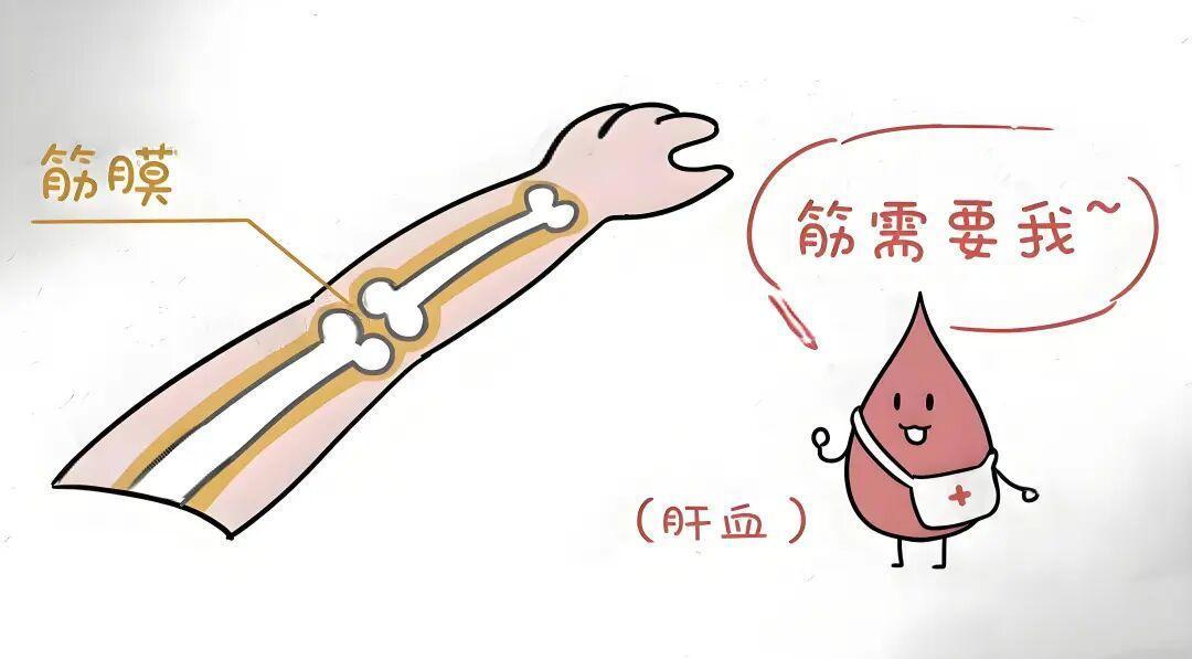 抽动症：可乐定真不如菖麻熄风片！平肝息风还安神，眨眼、耸肩、清嗓子都能治
坦白讲
