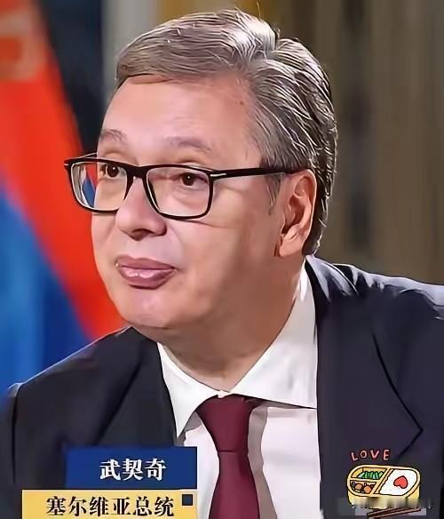 我好奇查了下武契奇总统，
不查不知道，
一查才明白，他不仅是欧洲政坛的“端水高手