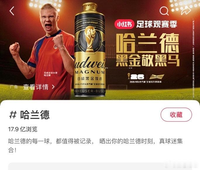 哈兰德年收入超5.4亿元【哈兰德中国粉丝量超挪威人口！“哈宝”凭什么成本届世界杯