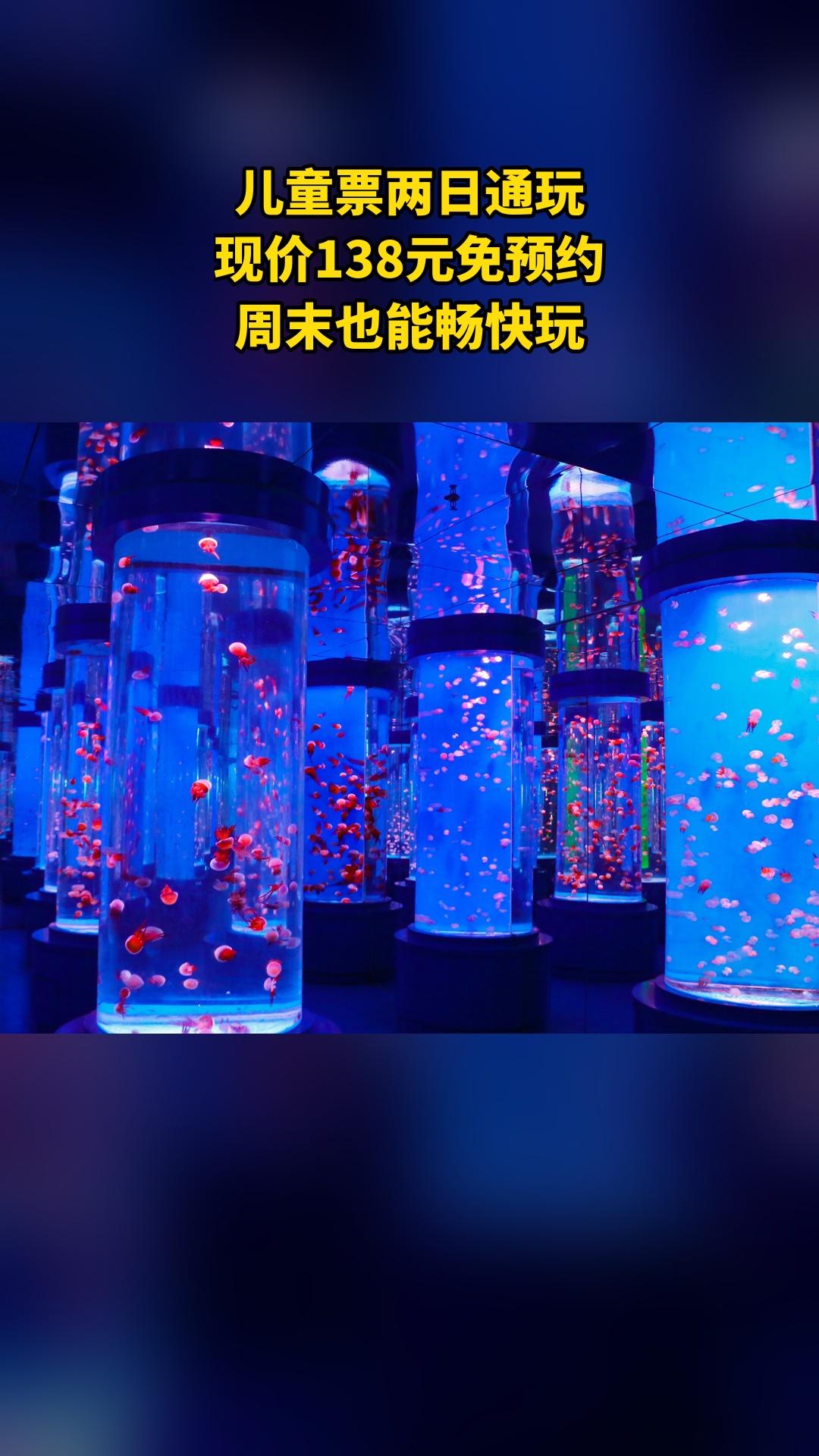 冰雪海洋世界，惊喜狂欢，儿童票两日全天通玩，超值折扣，景区官方、随时退·过期退