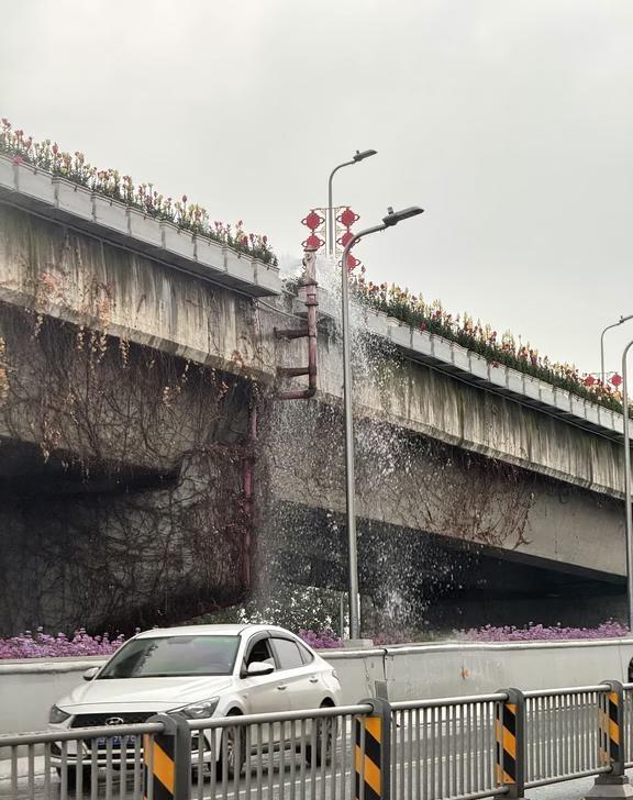 成都局部暴雨⛈️
谁来救救这倾盆大雨～我的城市下雨  治愈系雨天  换一个视角看