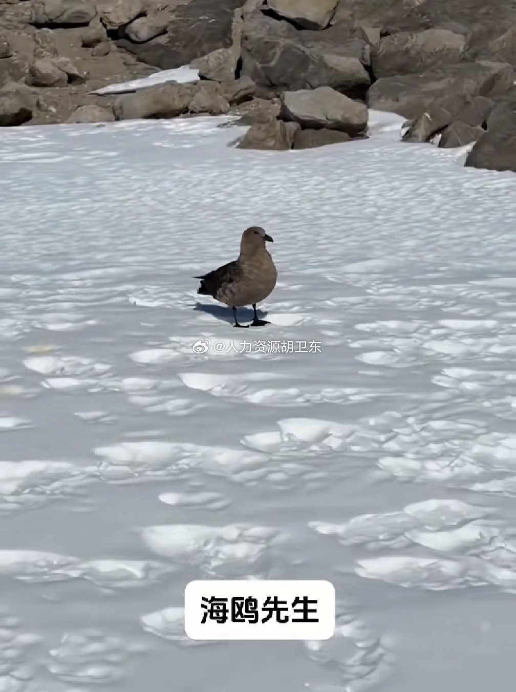 南极 