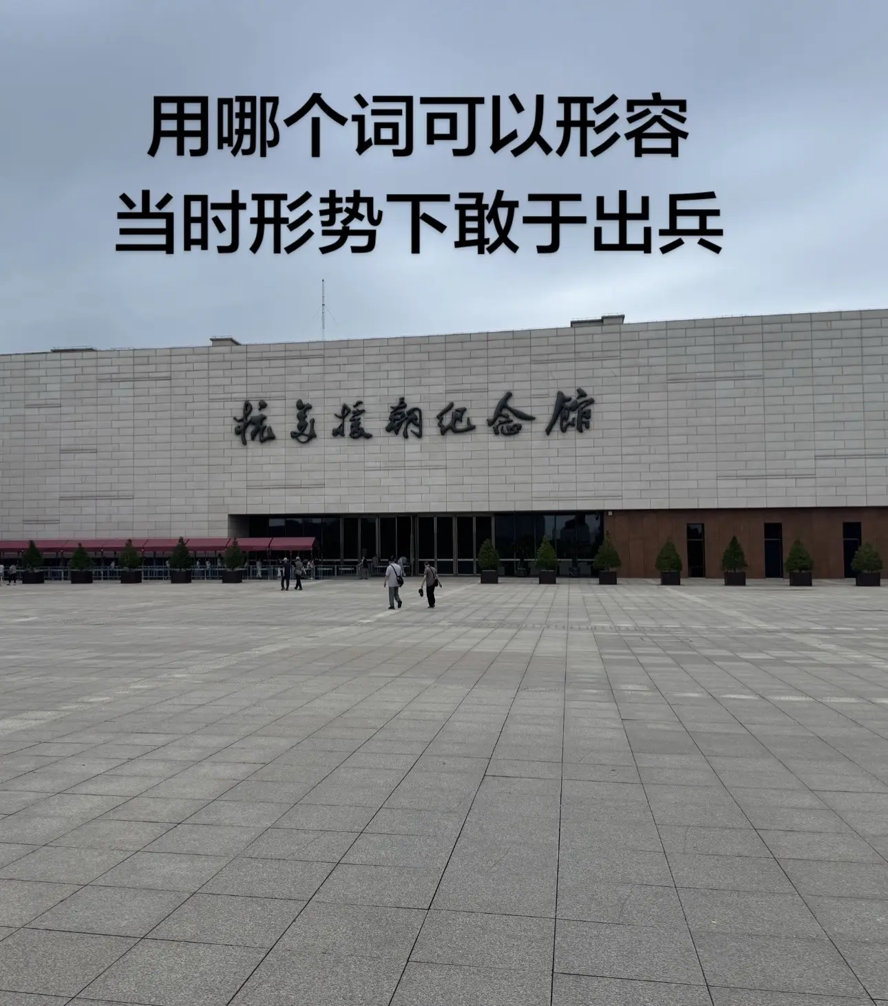 用哪个词可以形容，当时形势下敢于出兵